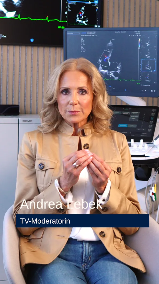 Andrea Lebek, TV-Moderatorin